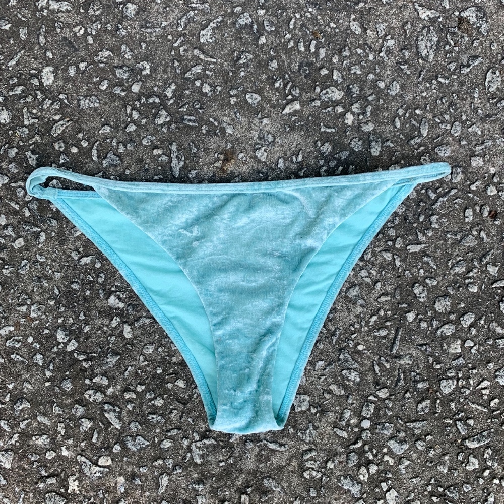 Blue Velvet Bathing Suit Bottoms